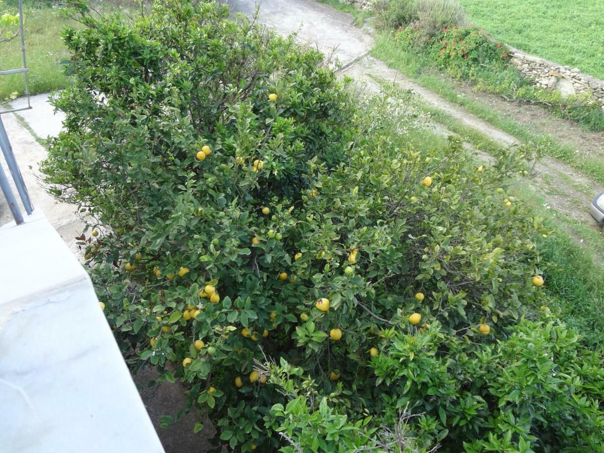 House In The Grass Land. Villa Ormos  Esterno foto