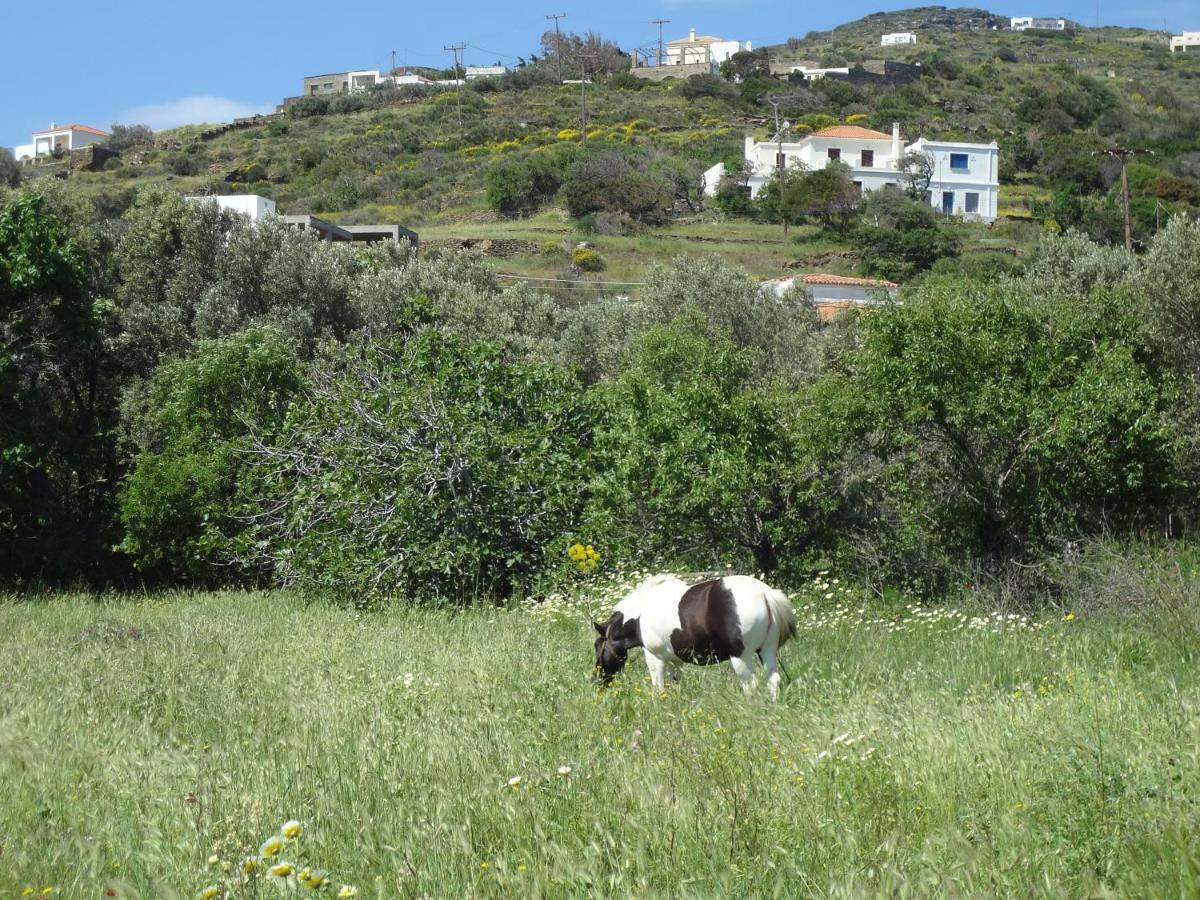 House In The Grass Land. Villa Ormos  Esterno foto